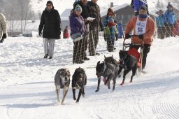 Lenk 2012 SM